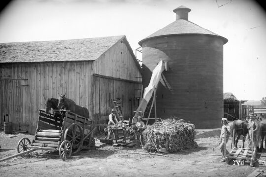 Two farmers standing beside barn using conveyor to load corn into silo with two horses in wagon.