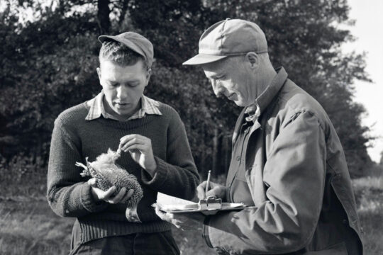 Hillock Hosford examining prairie chicken while Joseph Hickey takes notes holding clipboard.