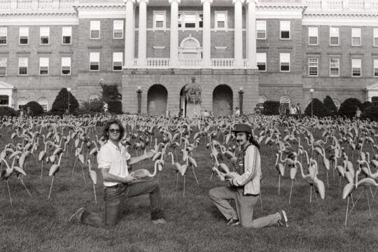 Hundreds of plastic flamingos line Bascom Hill with Jim Mallon and Leon Varjian kneeling in foreground.