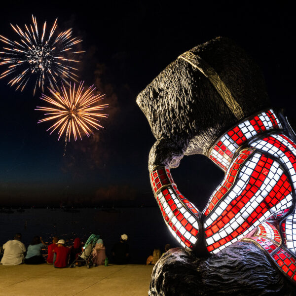 Fireworks over Lake Mendota with Bucky in foreground.