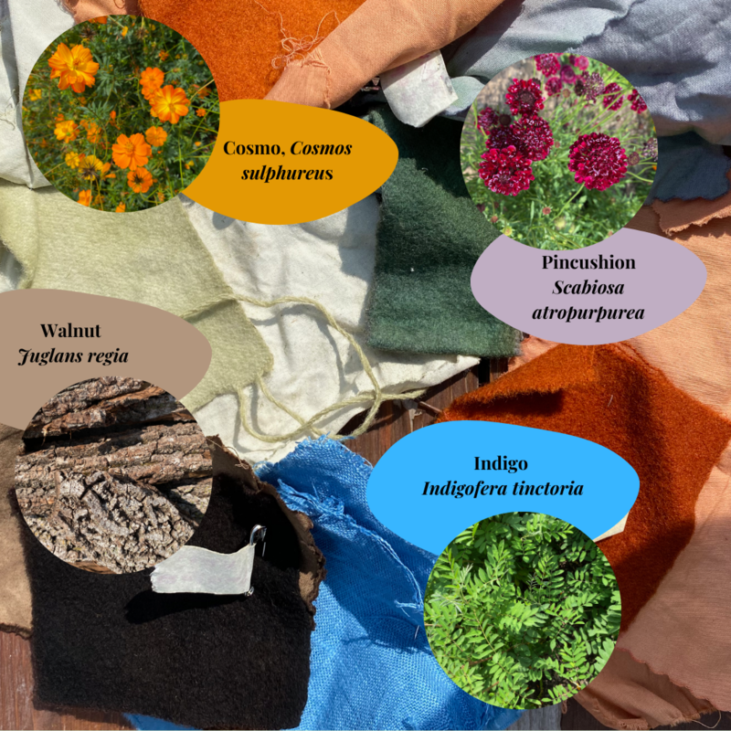 A photo of multiple colors and textiles with information on each.