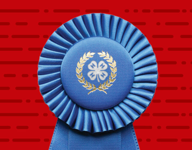 Blue ribbon against red illustrated background.
