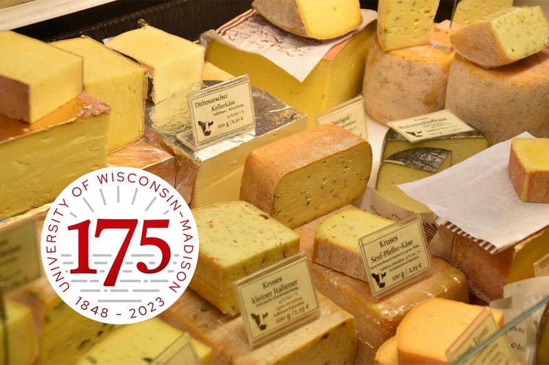 Different cheeses with the 175th Anniversary seal overlaid.