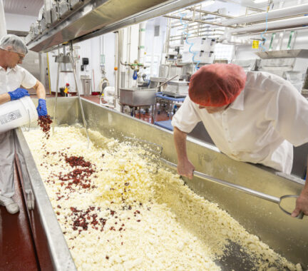 Two people scoop red berries into yellow cheese curd.